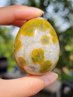 NEW 2.25" x 124g OCEAN JASPER EGG